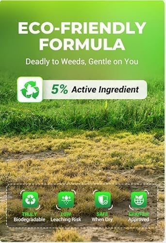 Cyclosinone Herbicid Granular Weed Killer (Pack Of 2)