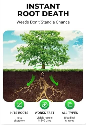 Cyclosinone Herbicid Granular Weed Killer (Pack Of 2)